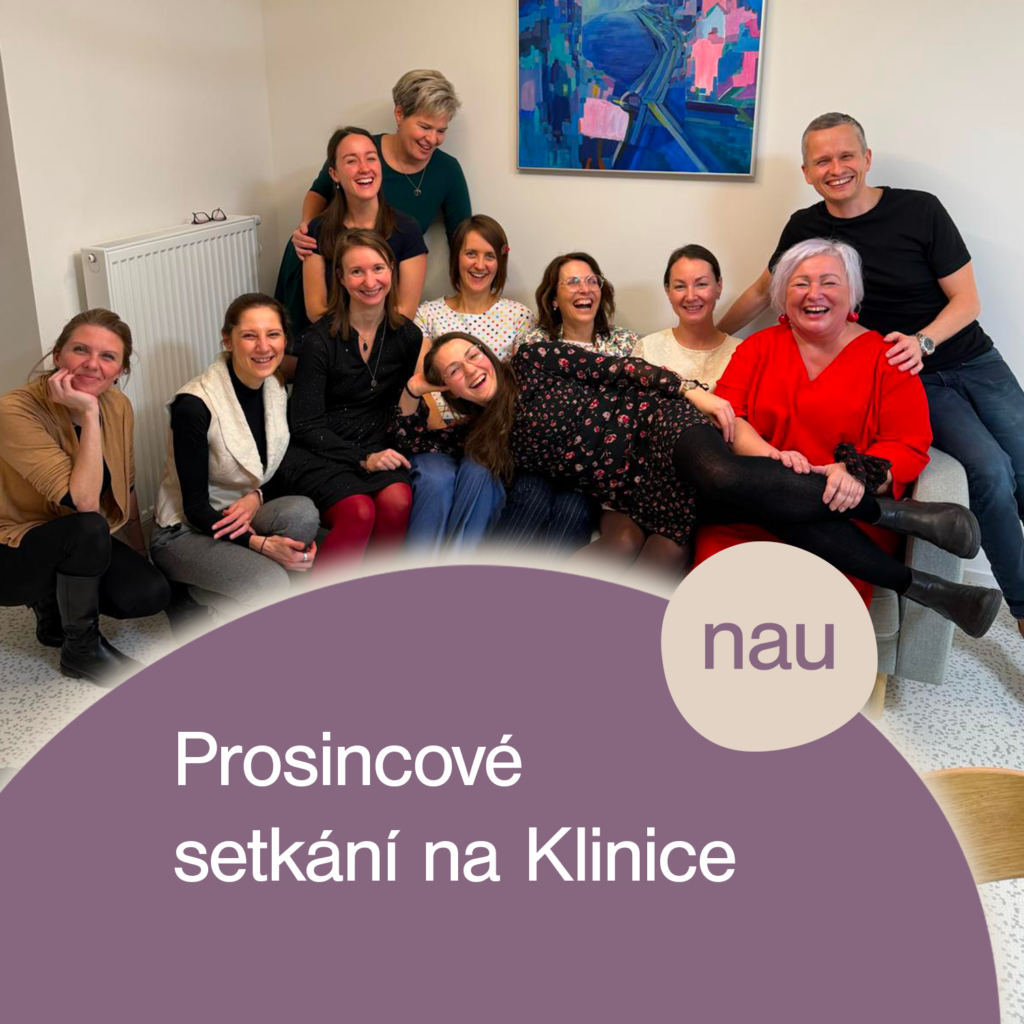 V prosinci proběhlo setkání interního týmu na Klinice NAU