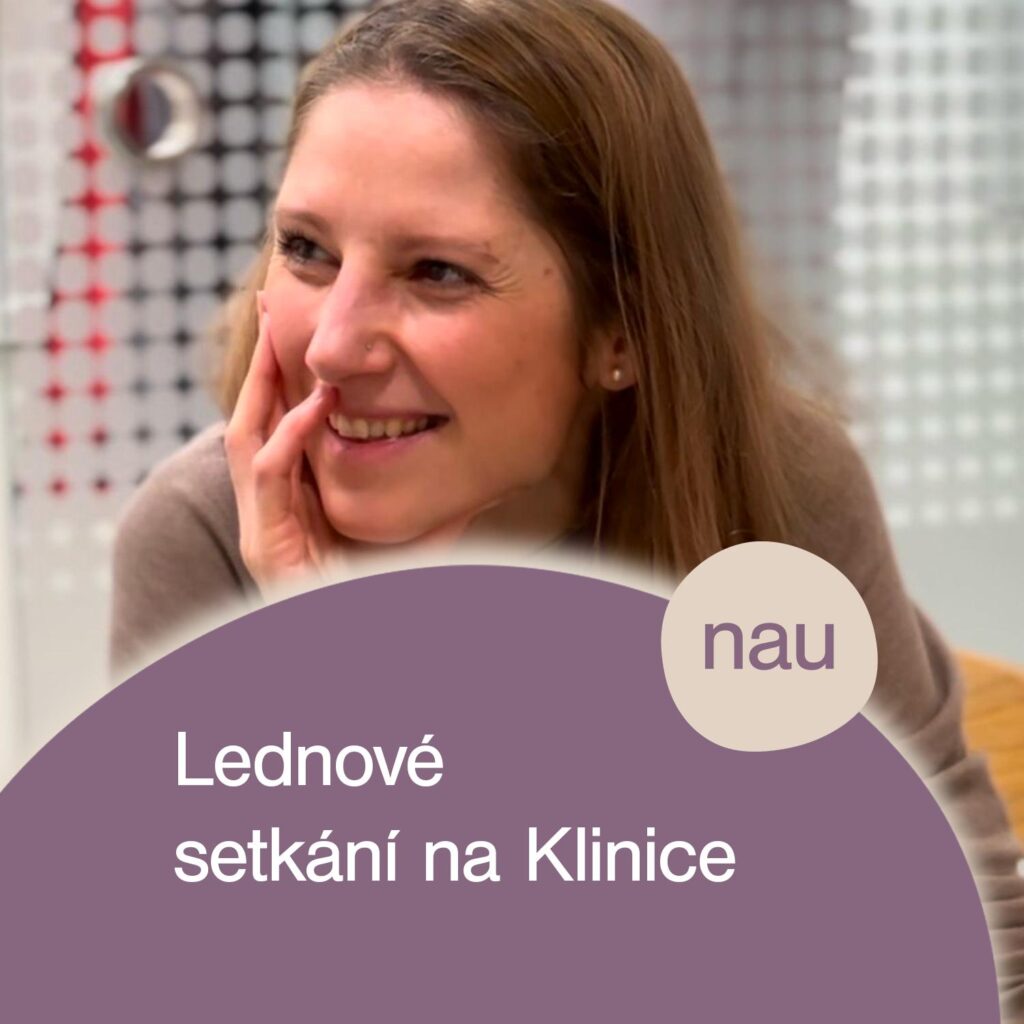 Setkání interního týmu na Klinice NAU - leden 2026