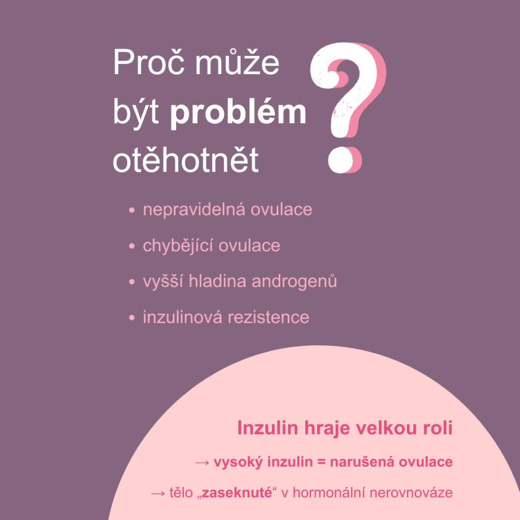 Proč může být problém otěhotnět, když má žena PCOS? Protože dochází k nepravidelné ovulaci, nebo ovulace úplně chybí, ženy mají vyšší hladinu androgenů a je přítomna i inzulinová rezistence.