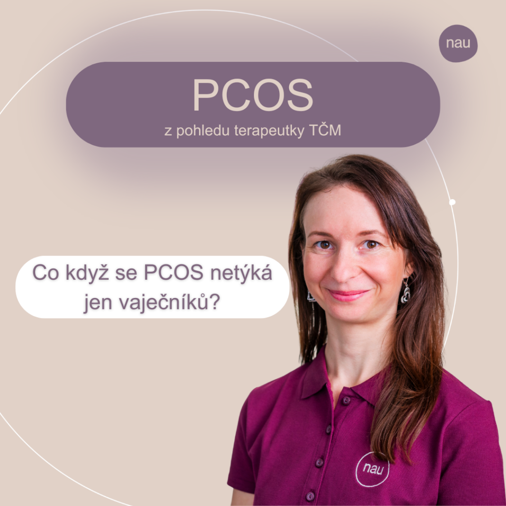 PCOS z pohledu terapeutky tradiční čínské medicíny - Co když se PCOS netýká jen vaječníků?