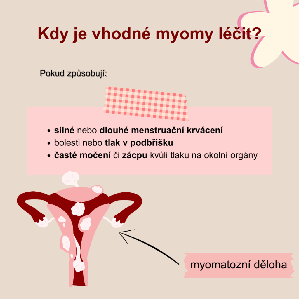 Myomy je vhodné léčit, když má žena dlouhou a silnou menstruaci, bolestivý tlak v podbřišku, časté močení nebo zácpu vlivem velikosti myomu.