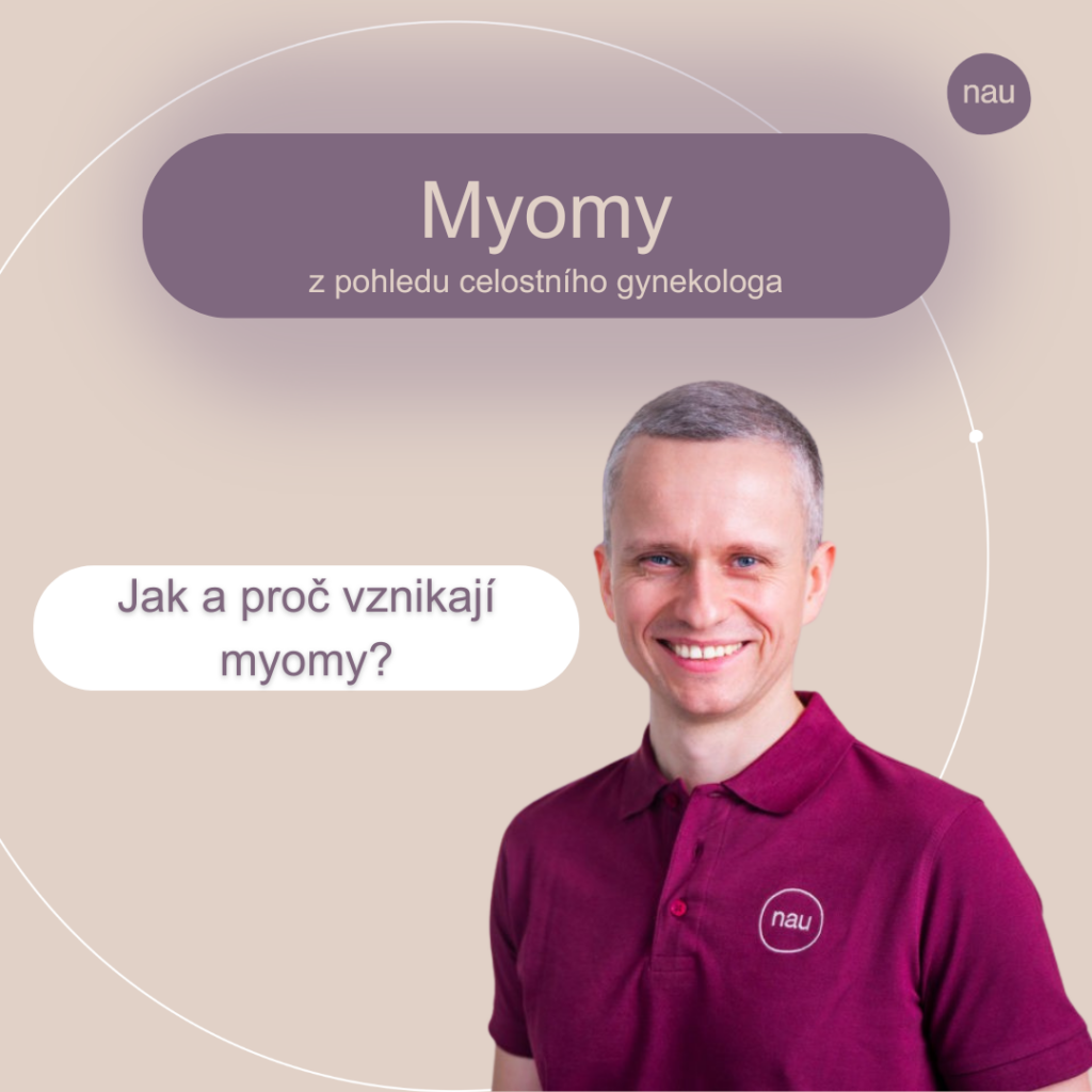 Myomy z pohledu celostního gynekologa - Proč a jak myomy vznikají?